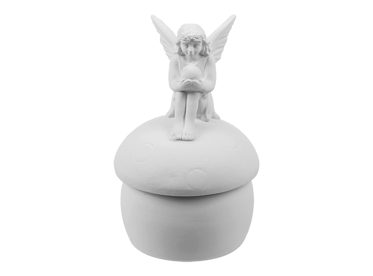 Fairy o Mushroom Box