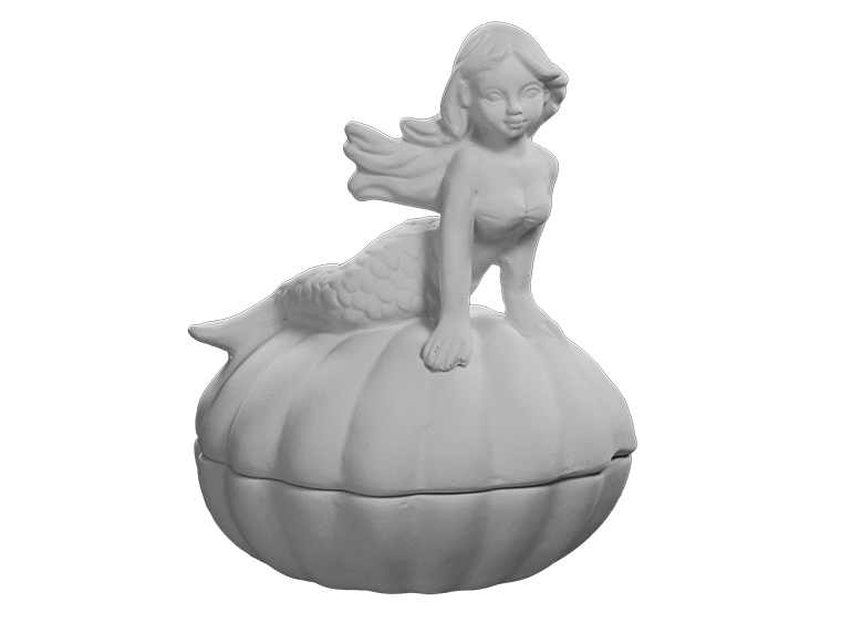 🦈 * Mermaid on Shell Box