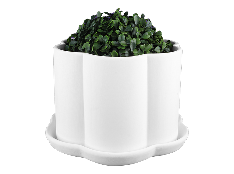 Scalloped Flower Pot w/ Saucer