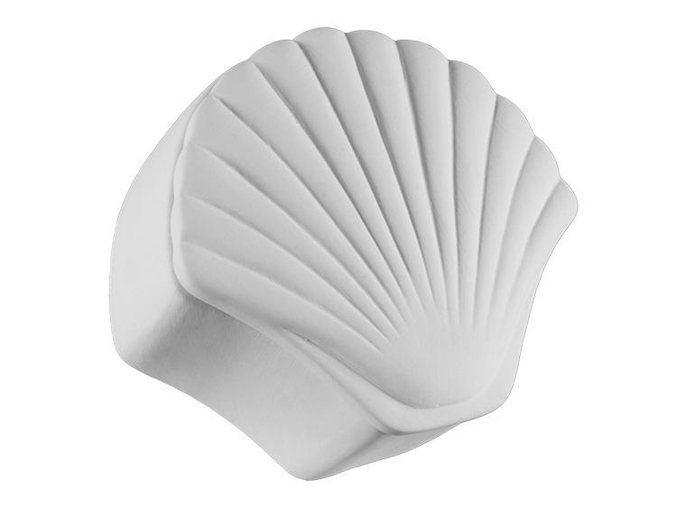 Seashell Box