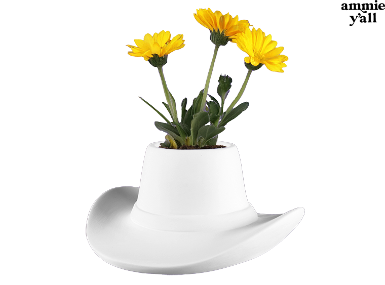 🧡 Cowboy Hat Planter