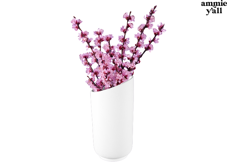 🧡 *Angled Vase