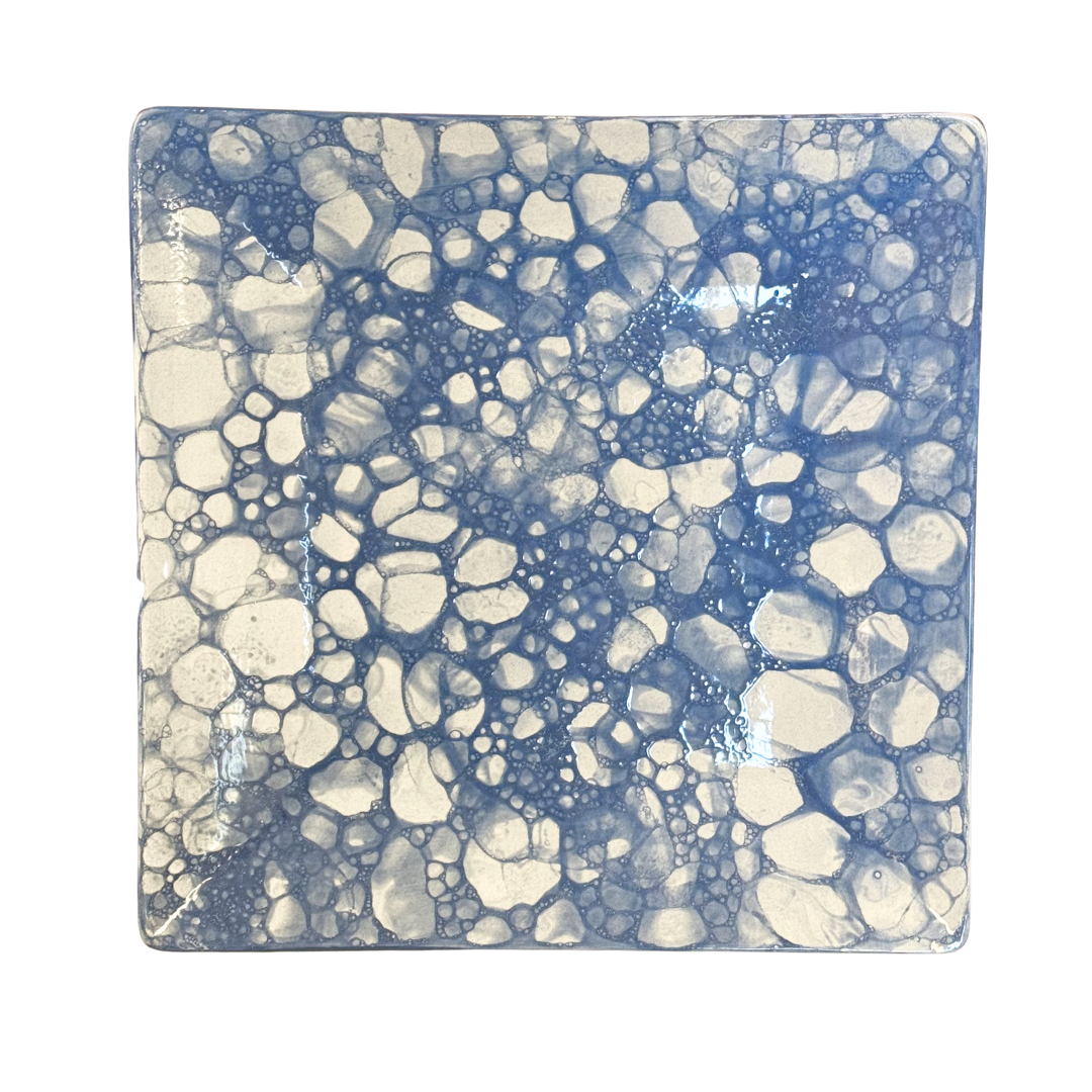 🍽️☕️💜🦞Sq Coupe Dinner Plate