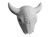 Wall mountable plaque in the shape of a longhorn skull with compass detail in center of forehead